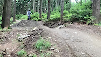Polish DH Cup track jump section