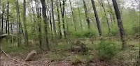 Tried my second drop