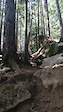 Adrian on some roots