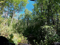 Devon DH