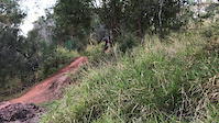 The end of the Rock Garden at Wayno's