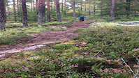 Whip I neskollen