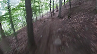 Tree fail