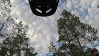 Rödmyran