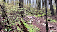 incline creek gap