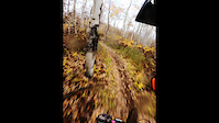 Fall colors of WOW Trail