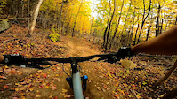 Mountain biker hits tree