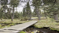 creek gap