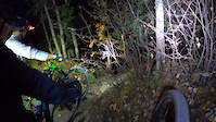 Bill's Trail