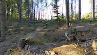 Schulerholz-Trail Crash