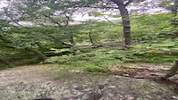 Allamuchy state park