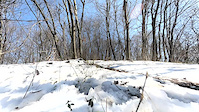 Trail Building