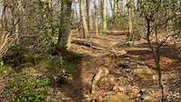 OHill Jumpline Section