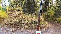 Race Classic- crawford trails