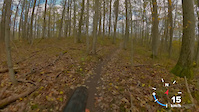 Creekie Highlights