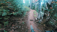 Lower FIreswamp