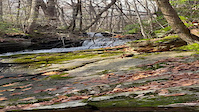 Westledge Cascade