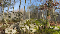 Rockslab Chefna/Canadien