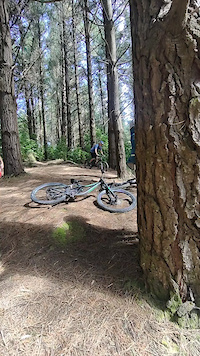 Manawatu Whanganui Mountain Biking Trails Trailforks