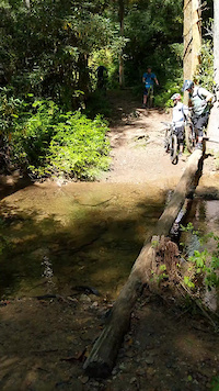 Avery Creek Dip
