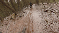 Snowy Harper Lap 3