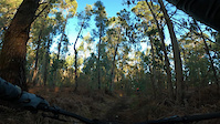 Trialera AllMountain