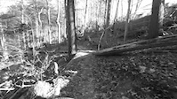 Don Valley MTB Enduro