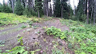 Silver Star JMT jump