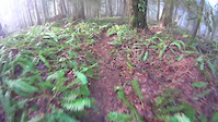 hit a root, sent me on my side