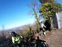 ripetitore e foglie