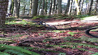 Berm and jump