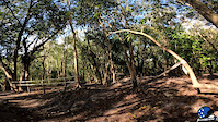 Markham Park Alligator Alley Drop Crash