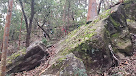 Big slab alternative line