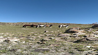 serra do bau