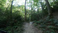 Sycamore Cove Trail Section