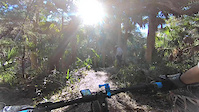 OTB off a feature, bike in swamp
