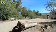 Log spill