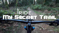 DH Trail on the Grand Ridge | Issaquah, WA