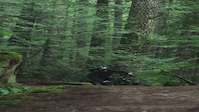 Ditch Pig moves