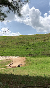 Gap Jump at Skills Park