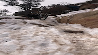 The Snotch early spring