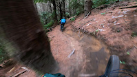 tuteata Otb bar clip concussion