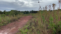 Wolwespruit Tables Line