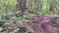 Schralping Berms