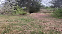 two dirt yumps