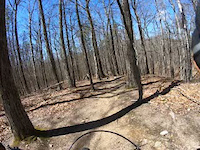 Lower SWAMP 5-1-22