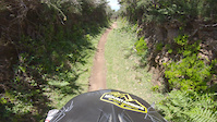 Vacas Trail