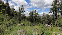 Greenstone