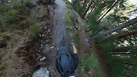 901er-Trail
