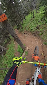 T-Dub trail